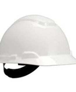 3M Helmet H701